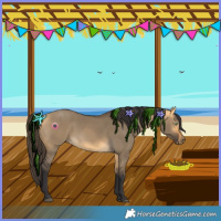 Horse Color:Buckskin Dun 
