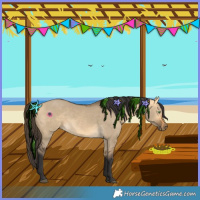 Horse Color:Buckskin Dun 