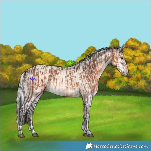 Horse Color:Brown Mushroom and Cremello Mushroom Splash