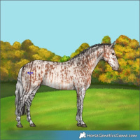 Horse Color:Brown Mushroom  and Cremello Mushroom Splash 