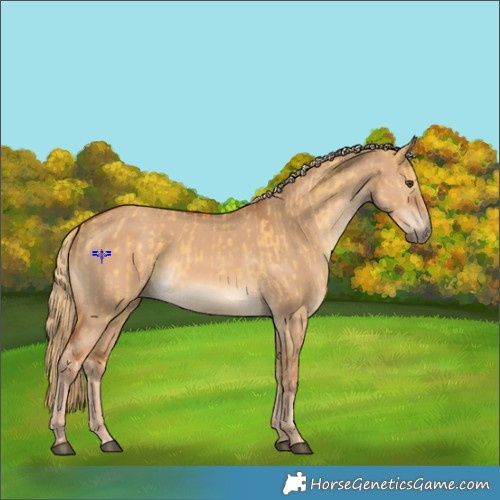 Horse Color:Palomino Dun  and Red Dun 