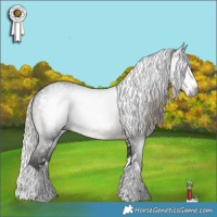 Horse Color:Gray White Spotted Silver Smoky Black Splash 