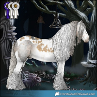 Horse Color:White Spotted Silver Buckskin Dun Splash  and Gray Silver Smoky Black Tobiano 