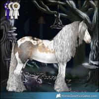 Horse Color:White Spotted Silver Buckskin Dun Splash  and Gray Silver Smoky Black Tobiano 