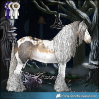 Horse Color:White Spotted Silver Buckskin Dun Splash  and Gray Silver Smoky Black Tobiano 