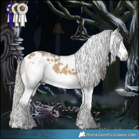 Horse Color:White Spotted Silver Buckskin Dun Splash  and Gray Silver Smoky Black Tobiano 