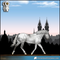 Horse Color:Gray Silver Smoky Black Tobiano Appaloosa