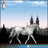 Horse Color:Gray Silver Smoky Black Tobiano Appaloosa