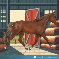 Horse Color:Chestnut 
