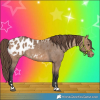 Horse Color:Bay Dun Blanket 