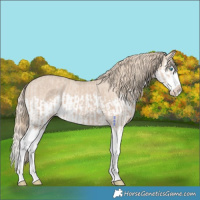 Horse Color:Smoky Creme Splash  and Smoky Creme Splash 