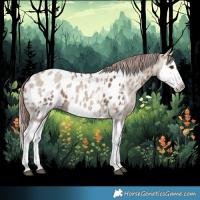 Horse Color:Liver Red Dun Sabino Splash Appaloosa  and Liver Red Dun Roan Splash Appaloosa 
