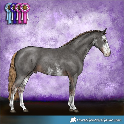 Horse Color:White Spotted Liver Chestnut 