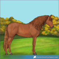 Horse Color:Chestnut 