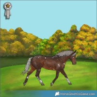 Horse Color:White Spotted Silver Brown Tobiano 