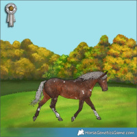 Horse Color:White Spotted Silver Brown Tobiano 
