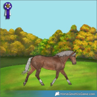 Horse Color:Silver Brown Tobiano 