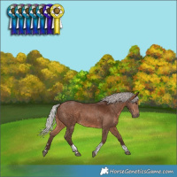 Horse Color:Silver Brown Tobiano