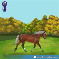 Horse Color:Silver Brown Tobiano
