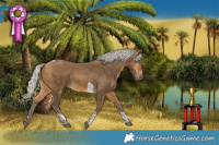 Horse Color:Silver Buckskin Tobiano 