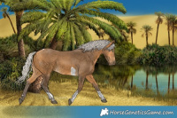 Horse Color:Silver Buckskin Tobiano