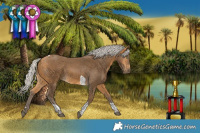 Horse Color:Silver Buckskin Tobiano 