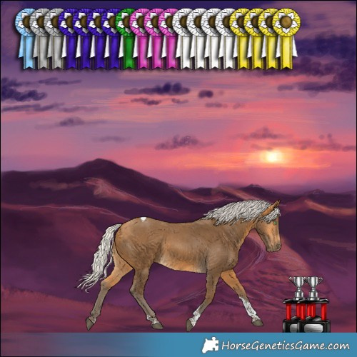 Horse Color:Silver Buckskin Tobiano 