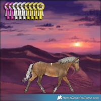 Horse Color:Silver Buckskin Tobiano