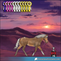 Horse Color:Silver Buckskin Tobiano