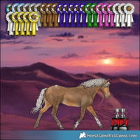 Horse Color:Silver Buckskin Tobiano
