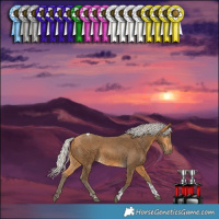 Horse Color:Silver Buckskin Tobiano