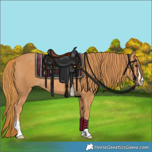 Horse Color:Chestnut Rabicano 