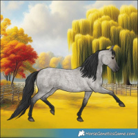 Horse Color:Grullo Roan 