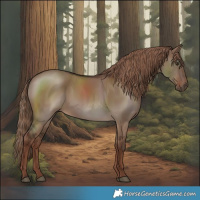 Horse Color:Liver Red Dun