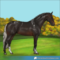 Horse Color:Powder White Gray Silver Brown 