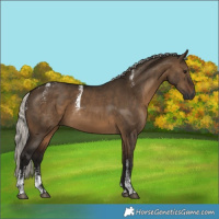 Horse Color:Powder White Gray Silver Brown Dun 