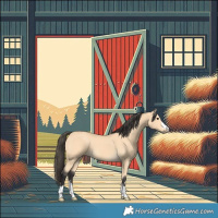 Horse Color:Buckskin 