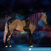 Horse Color:Void Painted Chocolate Palomino Tobiano