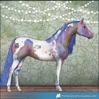 Horse Color:Nacre Watercolor Bay Tobiano Rabicano