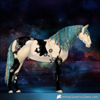 Horse Color:Void Painted Smoky Black Pearl Tobiano