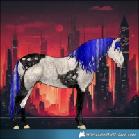 Horse Color:Void Painted Cremello Tobiano