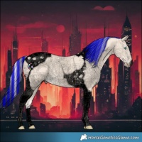 Horse Color:Void Painted Cremello Tobiano