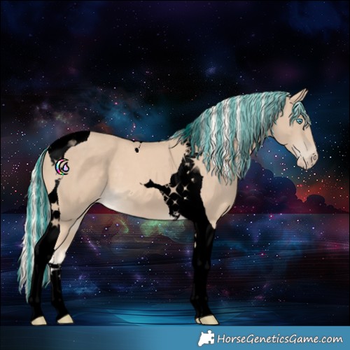 Horse Color:Void Painted Cremello Tobiano 