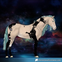 Horse Color:Void Painted Cremello Tobiano 