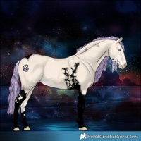 Horse Color:Void Painted Cremello Tobiano