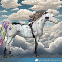 Horse Color:Void Painted Palomino Chinchilla Ice Tobiano 