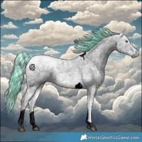 Horse Color:Void Painted Palomino Chinchilla Ice Tobiano 