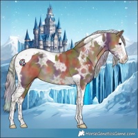 Horse Color:Nacre Silver Black Ice Splash Tobiano 