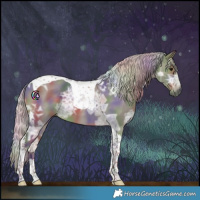 Horse Color:Nacre Silver Black Ice Tobiano 