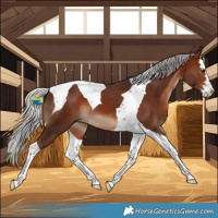 Horse Color:Silver Brown Splash Tobiano 